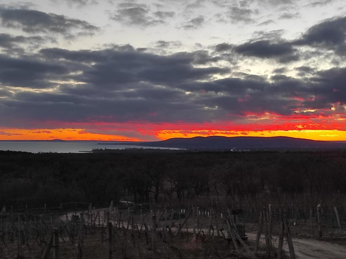 Napraszallas Vendeghaz Balatonakali Luaran gambar