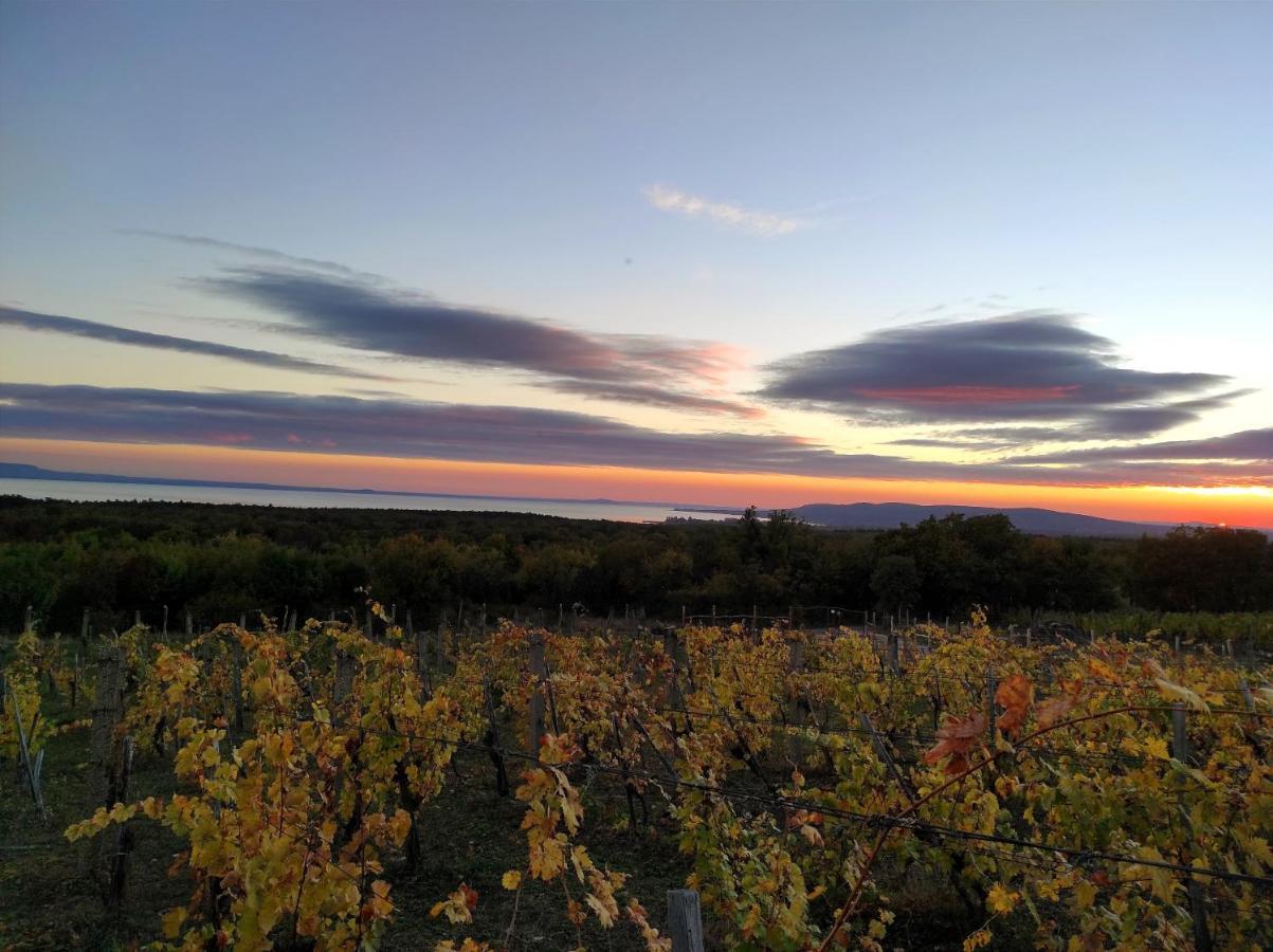 Napraszallas Vendeghaz Balatonakali Luaran gambar