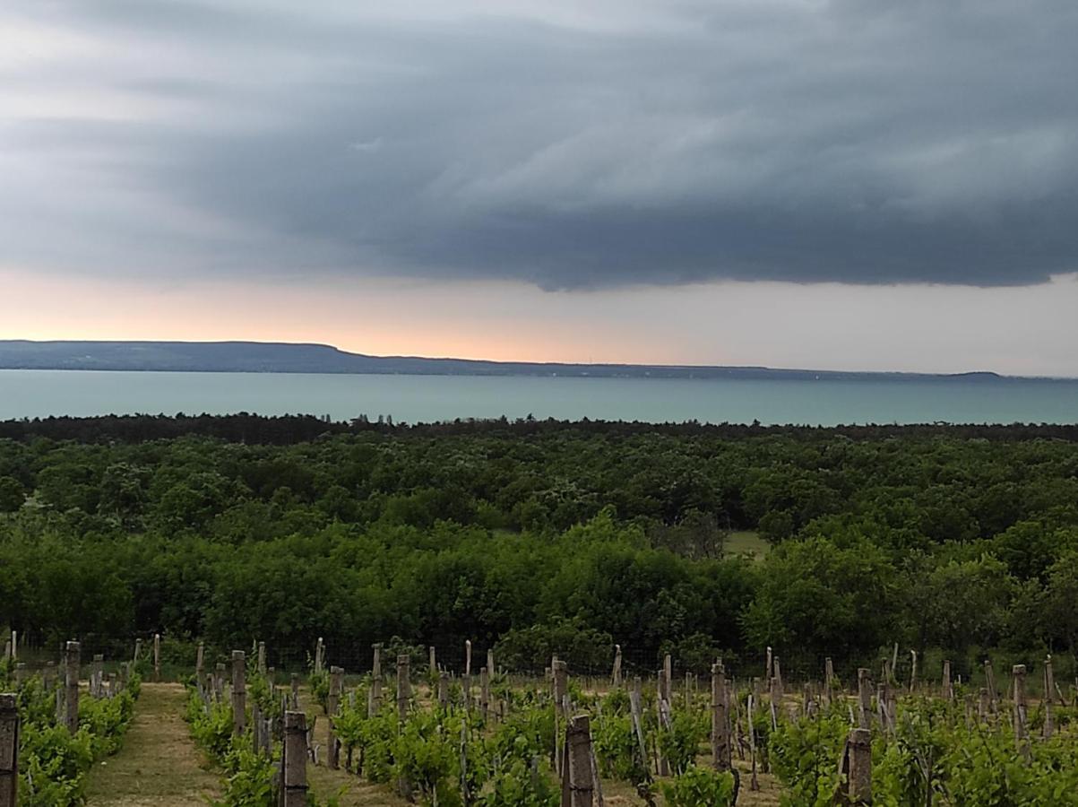 Napraszallas Vendeghaz Balatonakali Luaran gambar