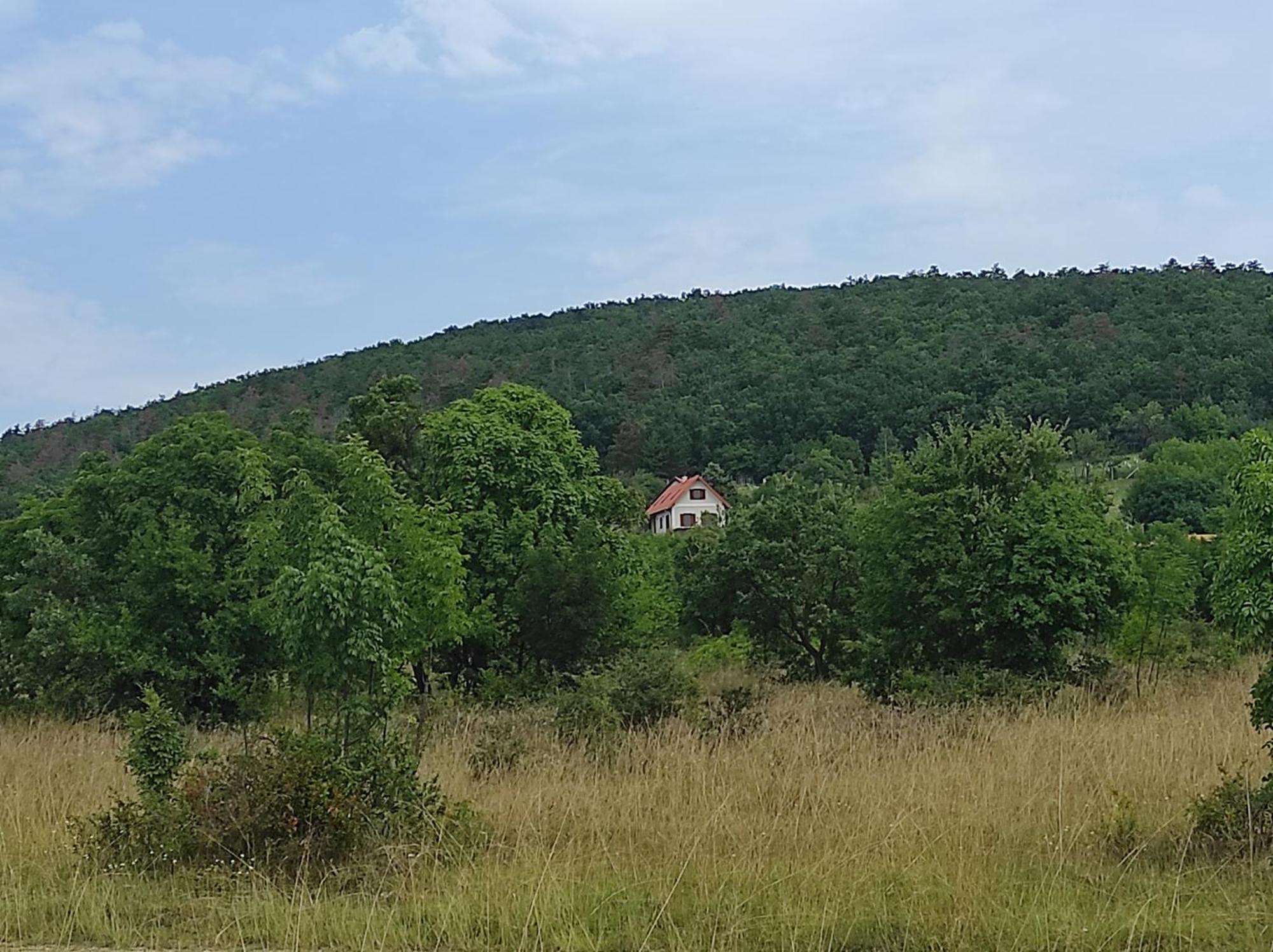 Napraszallas Vendeghaz Balatonakali Luaran gambar