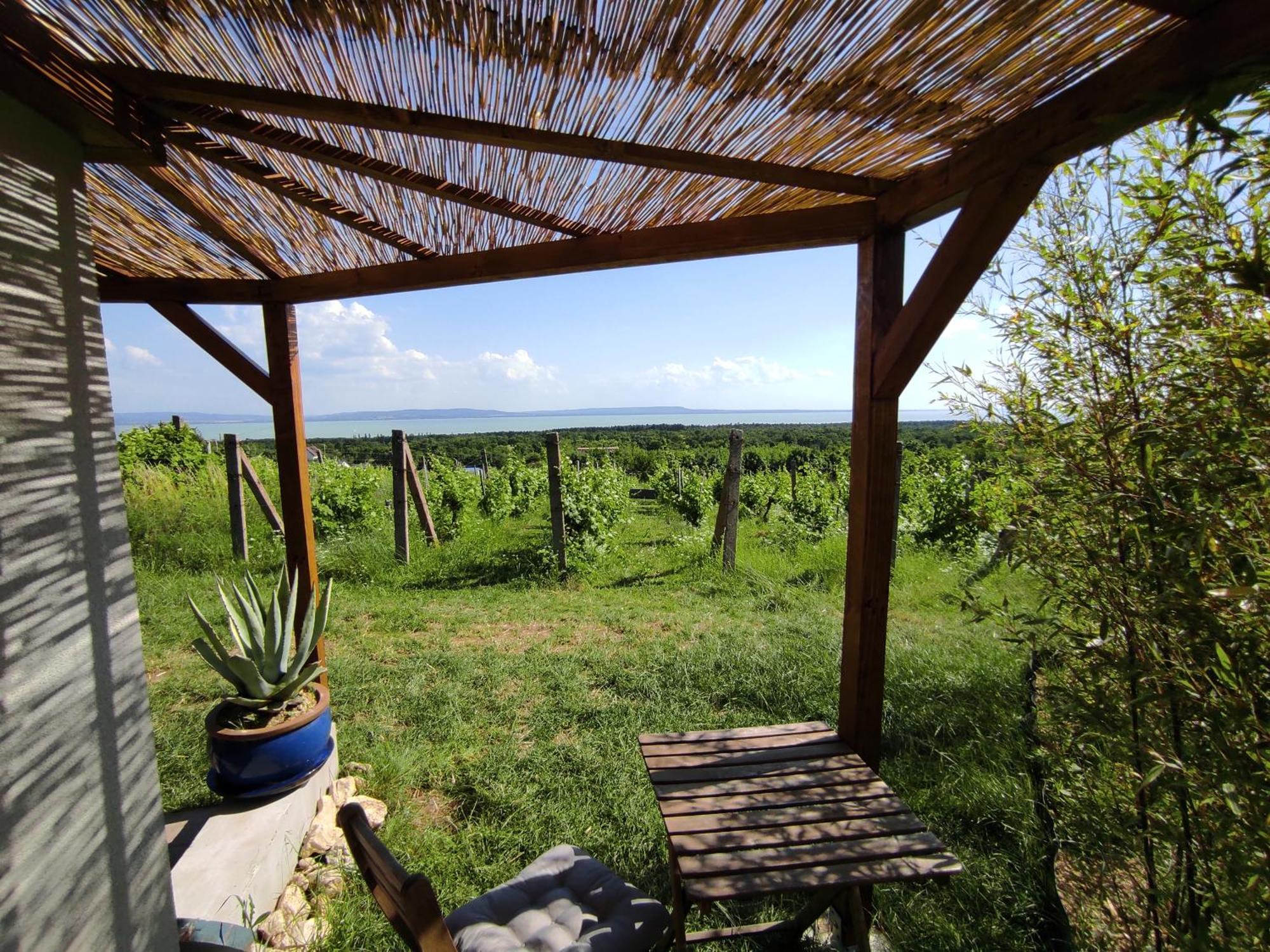 Napraszallas Vendeghaz Balatonakali Luaran gambar